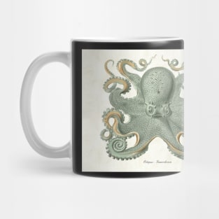 Vintage Antique Octopus- Gamochonia/ Kraken Mug